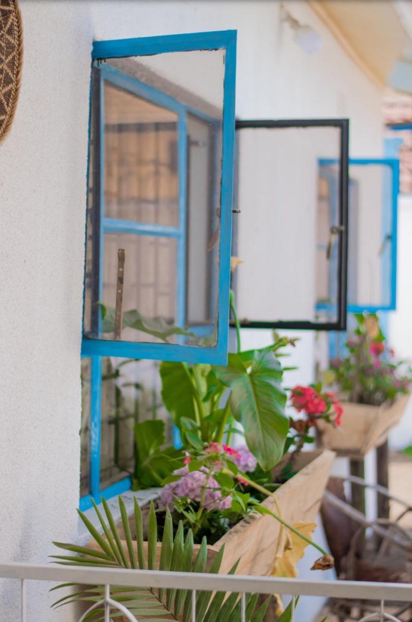 Mambo Arusha Hostel מראה חיצוני תמונה